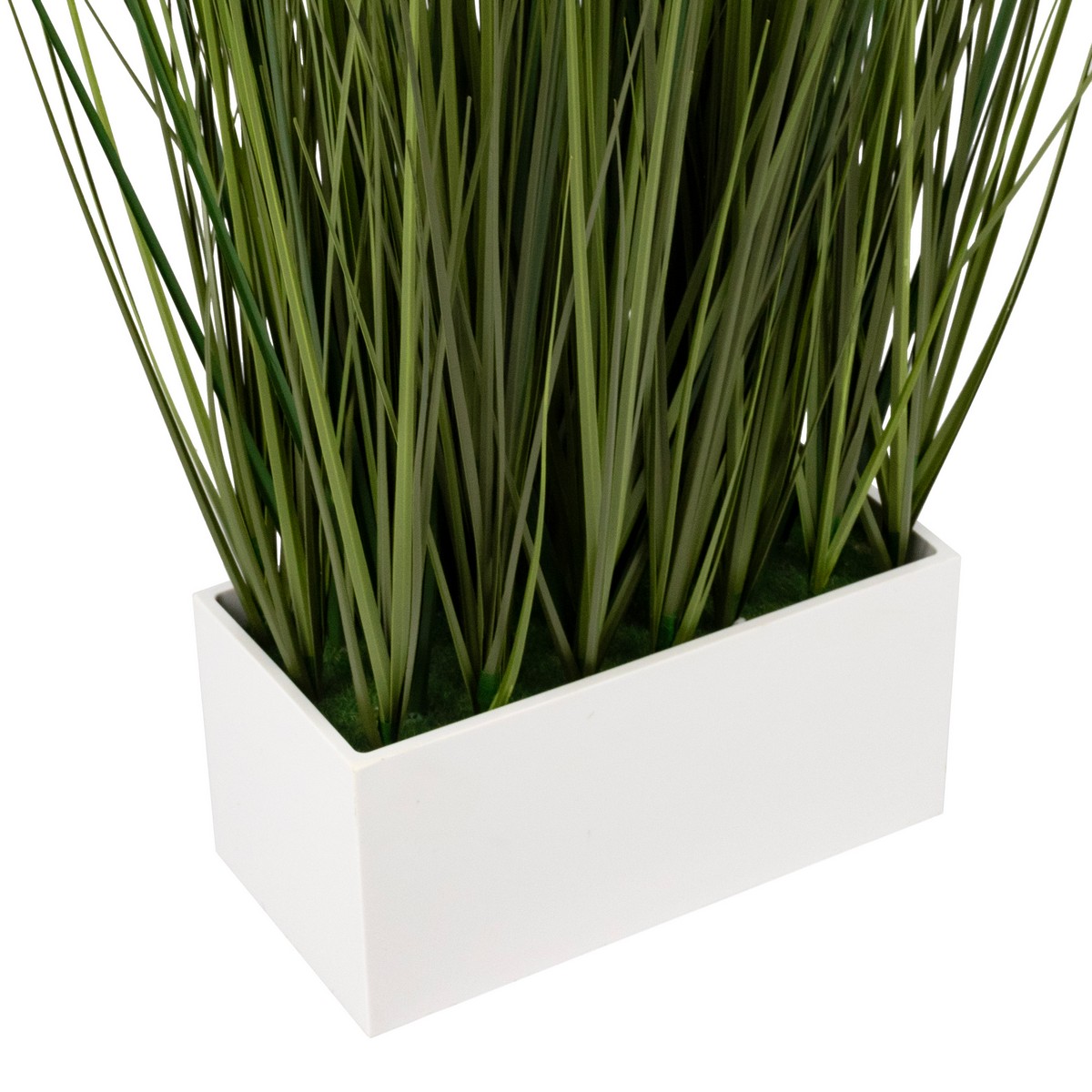Тростник к кашпо, 46см, зеленый в интернет-магазине флористических аксессуаров Азалия Декор