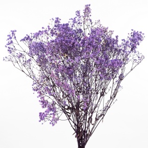 Набор Гипсофилы 120 гр, 75 см, сиреневый в интернет-магазине флористических аксессуаров Азалия Декор