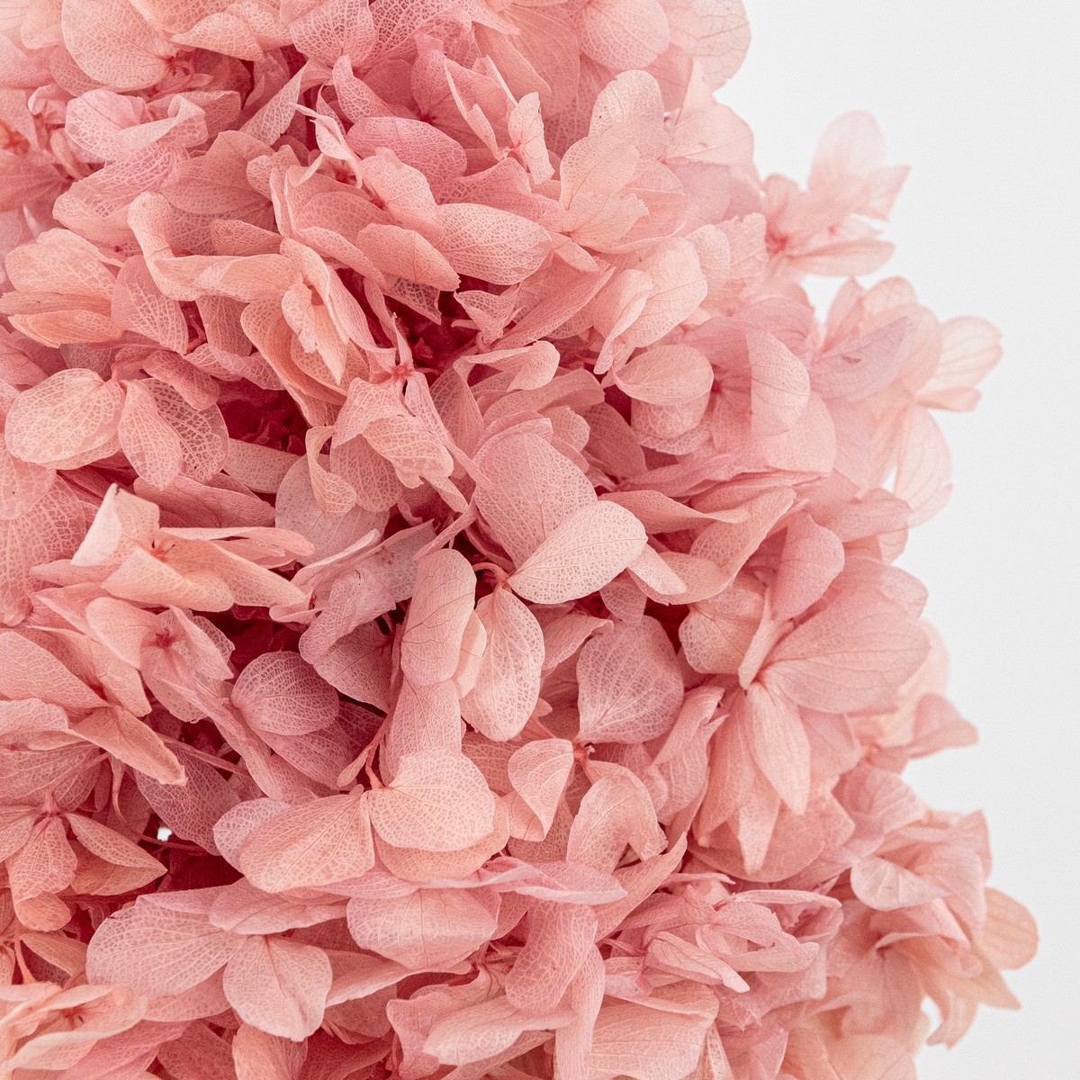Гортензия метельчатая, 50см, светло-розовый в интернет-магазине флористических аксессуаров Азалия Декор
