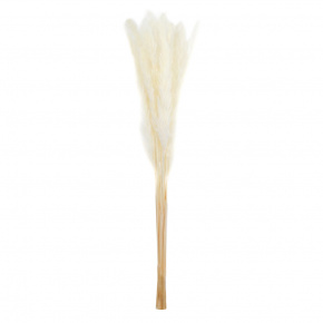 Набор пампасной травы мини 15шт., 60-70 см, белый в интернет-магазине флористических аксессуаров Азалия Декор