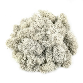 Мох ягель 400гр., белый в интернет-магазине флористических аксессуаров Азалия Декор