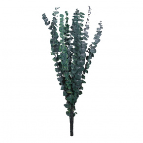 Набор эвкалипта 10шт., 60 см, темно-зеленый в интернет-магазине флористических аксессуаров Азалия Декор