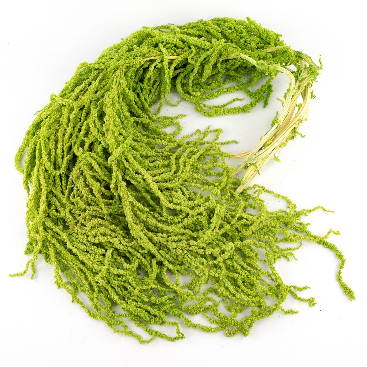 Набор Амарантуса 5шт., 100 см, темно-зеленый в интернет-магазине флористических аксессуаров Азалия Декор