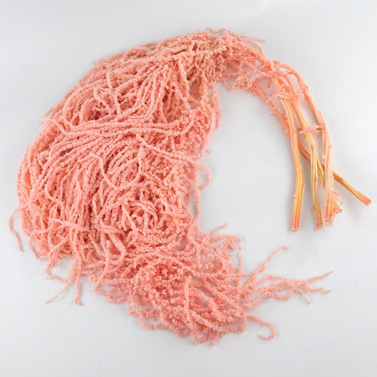 Набор Амарантуса 5шт., 100 см, светло-розовый в интернет-магазине флористических аксессуаров Азалия Декор