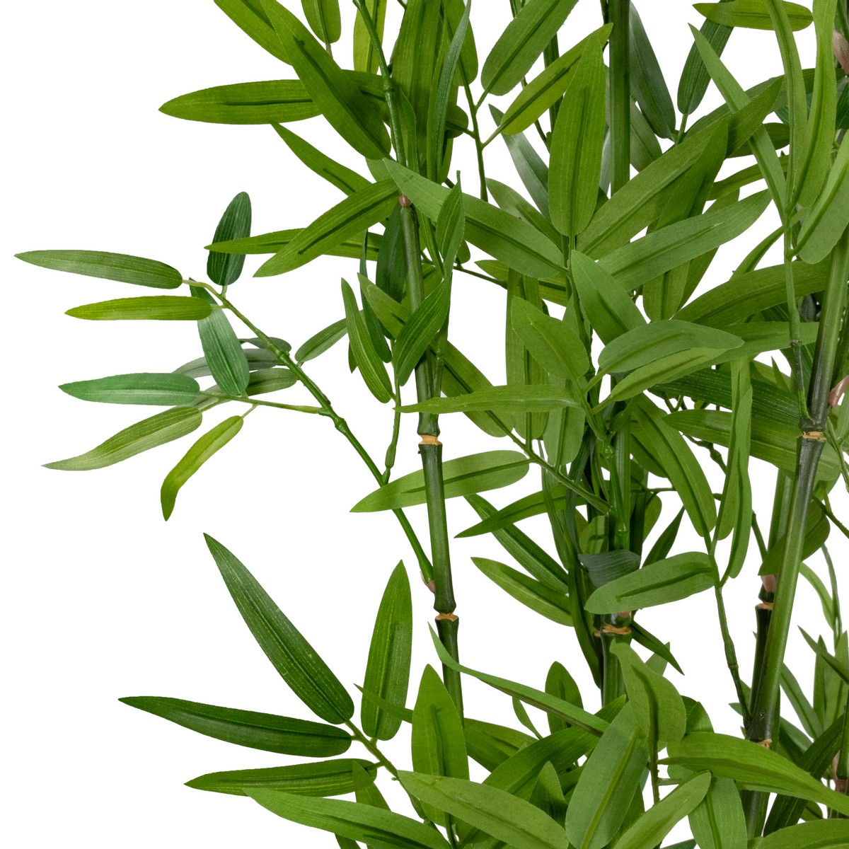 Бамбук в кашпо, 183см, зеленый в интернет-магазине флористических аксессуаров Азалия Декор