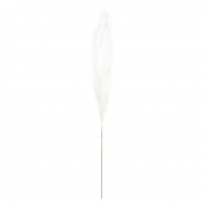 Пампасная трава, 120 см, белый в интернет-магазине флористических аксессуаров Азалия Декор