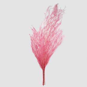 Набор аспарагуса 80гр, 80-100 см, розовый в интернет-магазине флористических аксессуаров Азалия Декор