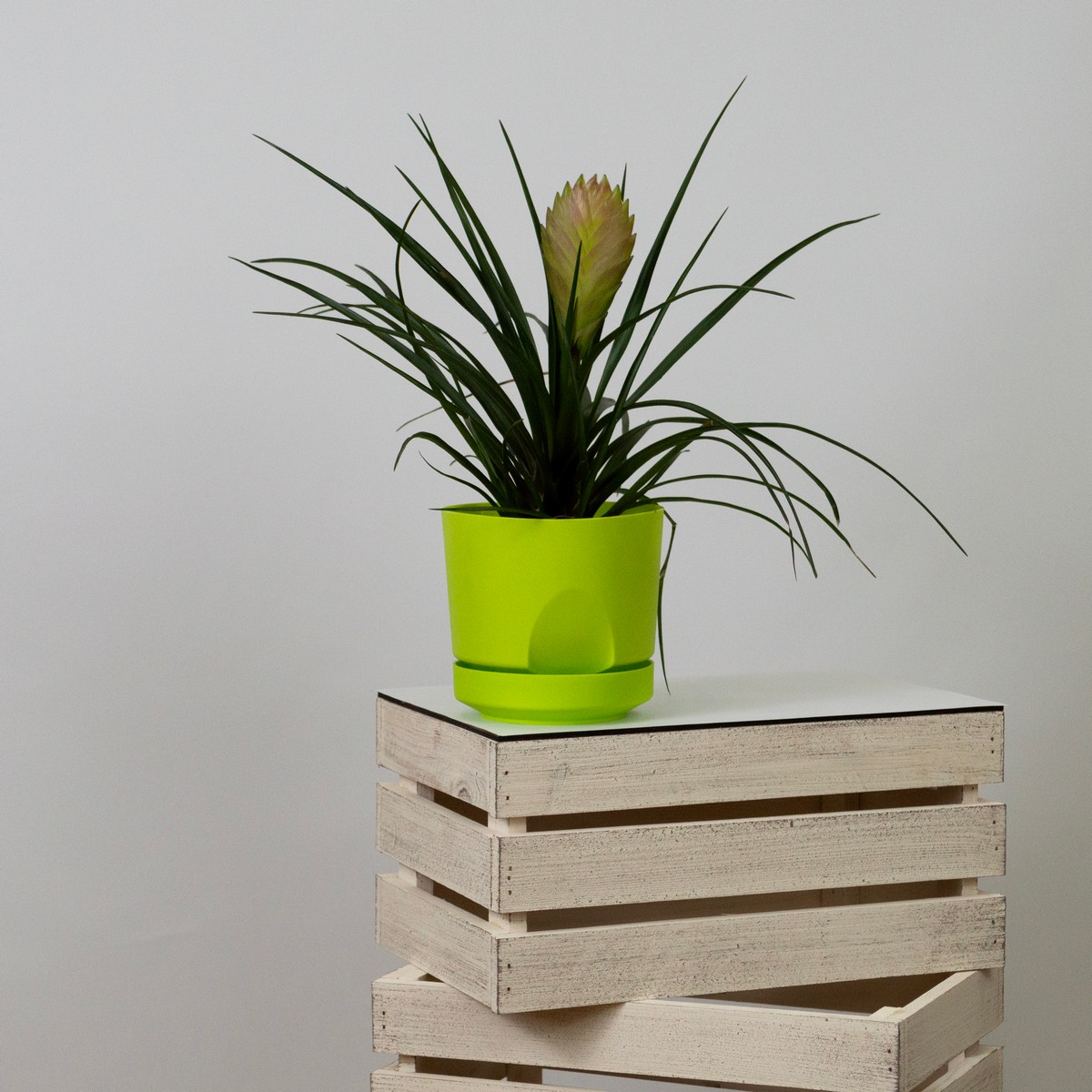 Цв. горшок Тренд (пластик), D12xH11см, 0,8л, зеленый в интернет-магазине флористических аксессуаров Азалия Декор