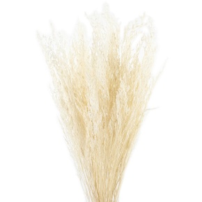 Набор Лимониума 100 гр, 70 см, кремовый в интернет-магазине флористических аксессуаров Азалия Декор