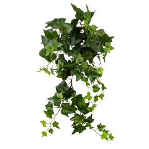 Ветка Плющ, 64см, белый/зеленый в интернет-магазине флористических аксессуаров Азалия Декор