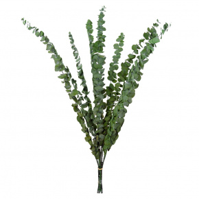 Набор эвкалипта 10шт., 60 см, зеленый в интернет-магазине флористических аксессуаров Азалия Декор