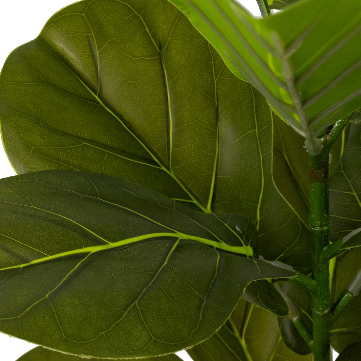 Фикус в кашпо, 58см, зеленый в интернет-магазине флористических аксессуаров Азалия Декор