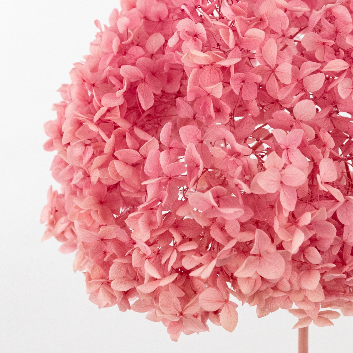 Гортензия, 60-65 см, розовый в интернет-магазине флористических аксессуаров Азалия Декор