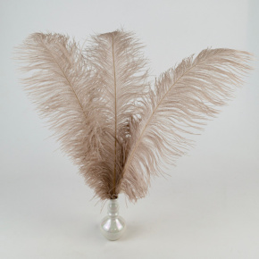 Набор перьев страуса 3шт., 45-50см, кофейный в интернет-магазине флористических аксессуаров Азалия Декор