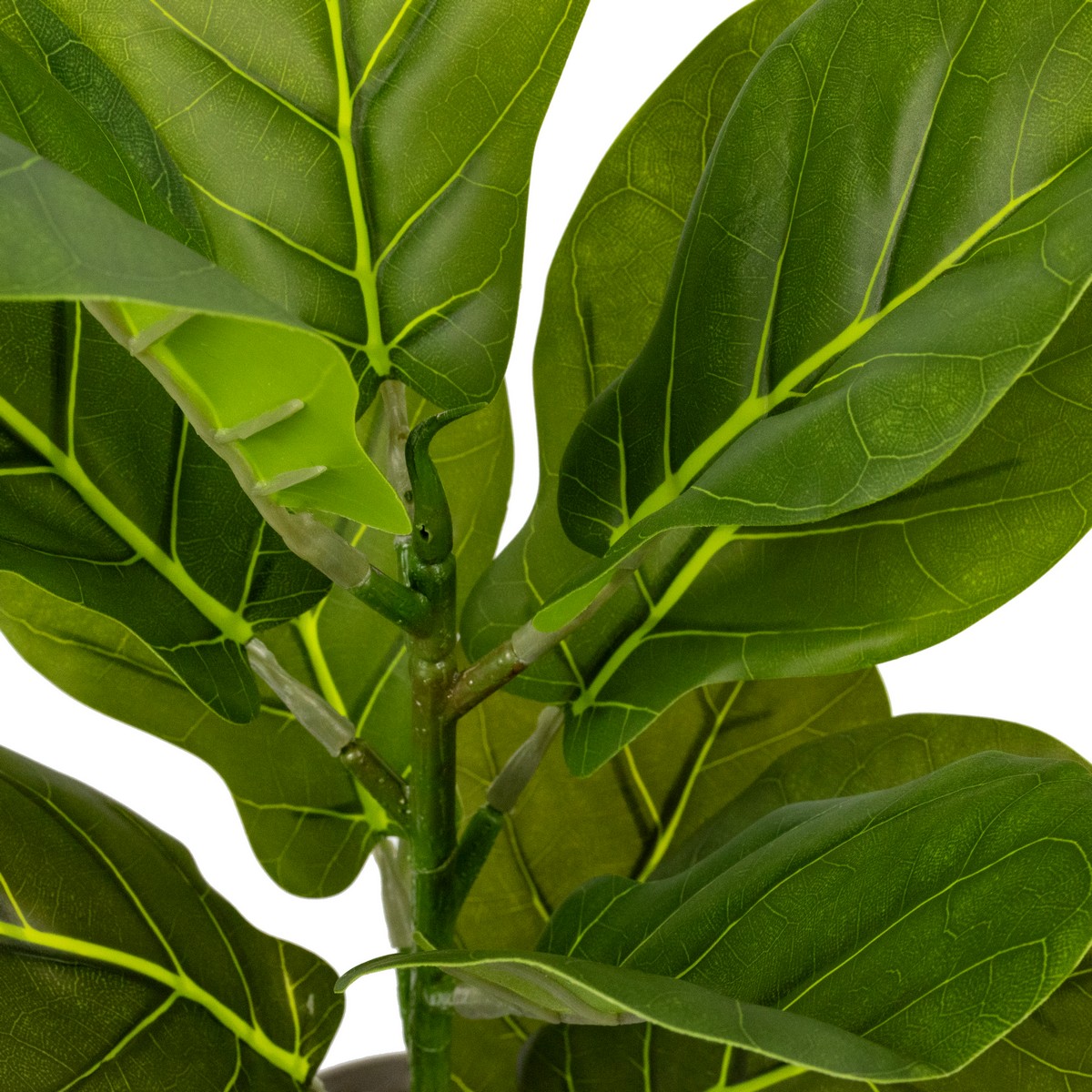 Фикус в кашпо, 43см, зеленый в интернет-магазине флористических аксессуаров Азалия Декор