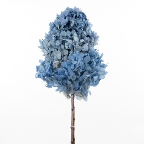 Гортензия метельчатая, 50см, голубой в интернет-магазине флористических аксессуаров Азалия Декор