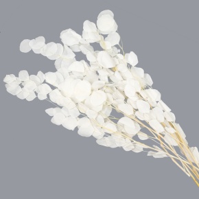 Эвкалипт 100гр., 70 см, белый в интернет-магазине флористических аксессуаров Азалия Декор