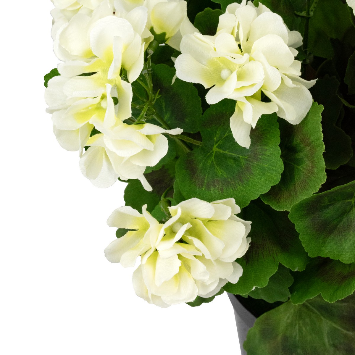 Герань в кашпо, 38см, белый в интернет-магазине флористических аксессуаров Азалия Декор