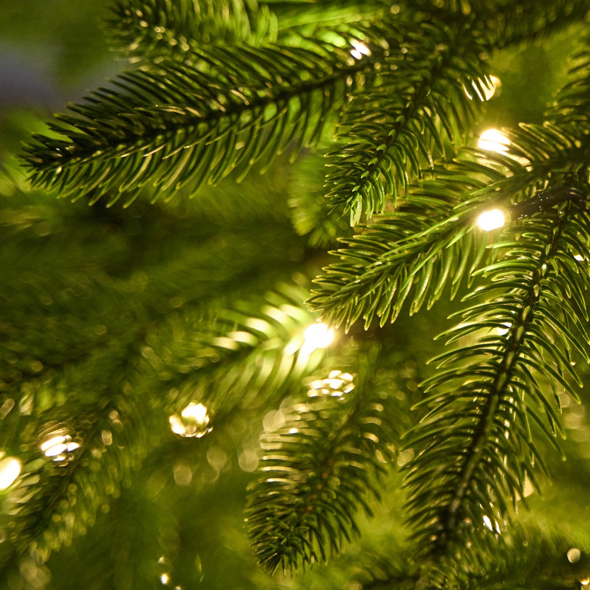 Ель искусственная с лампочками Смоленская (PE), 2,1м, зеленый в интернет-магазине флористических аксессуаров Азалия Декор