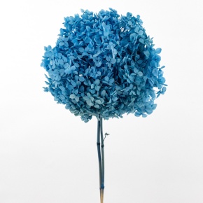 Гортензия, 60-65 см, голубой в интернет-магазине флористических аксессуаров Азалия Декор