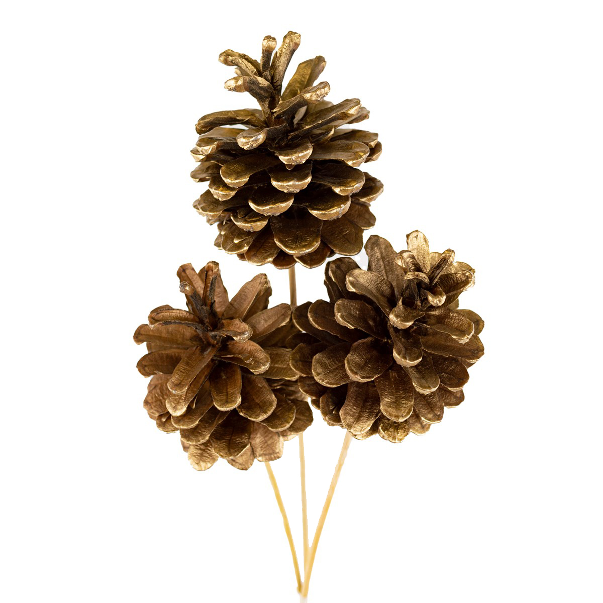 Набор шишек на вставке 3шт., 6х40см, золотой в интернет-магазине флористических аксессуаров Азалия Декор