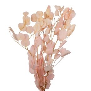 Эвкалипт 100гр., 70 см, светло-розовый в интернет-магазине флористических аксессуаров Азалия Декор