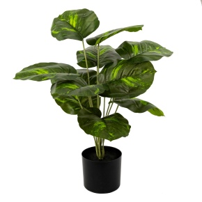 Потос в кашпо (пластик), 68см, зеленый в интернет-магазине флористических аксессуаров Азалия Декор