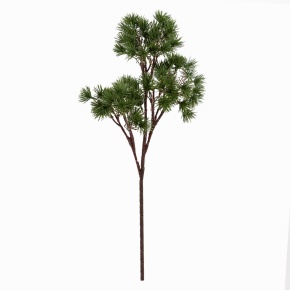 Ветка сосновая, 50см, зеленый в интернет-магазине флористических аксессуаров Азалия Декор