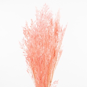 Набор Лимониума 100 гр, 70 см, розовый в интернет-магазине флористических аксессуаров Азалия Декор