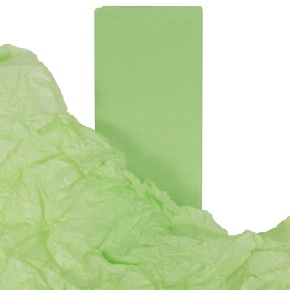 Бумага тишью 10 шт., 50x66 см, салатовый в интернет-магазине флористических аксессуаров Азалия Декор