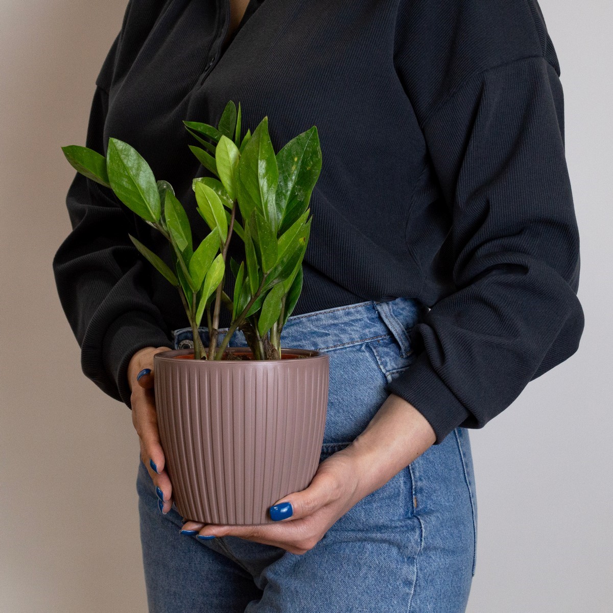 Кашпо со вставкой Эви (пластик), D14xH12,8см, 1,5л, коричневый в интернет-магазине флористических аксессуаров Азалия Декор