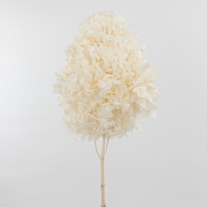 Гортензия метельчатая, 50см, белый в интернет-магазине флористических аксессуаров Азалия Декор