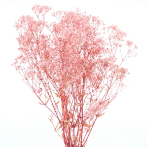 Набор Гипсофилы 120 гр, 75 см, светло-розовый в интернет-магазине флористических аксессуаров Азалия Декор