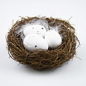 Гнездо с яйцами, D10см, белый в интернет-магазине флористических аксессуаров Азалия Декор
