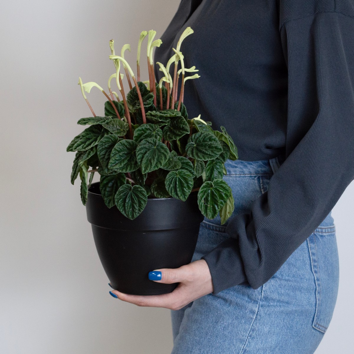 Кашпо со вставкой Лори (пластик), D17xH13,9см, 2,1л, черный в интернет-магазине флористических аксессуаров Азалия Декор