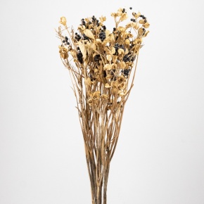 Беламканда Лес РФ в интернет-магазине флористических аксессуаров Азалия Декор