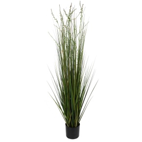 Пампасная трава в кашпо, 153см, зеленый в интернет-магазине флористических аксессуаров Азалия Декор