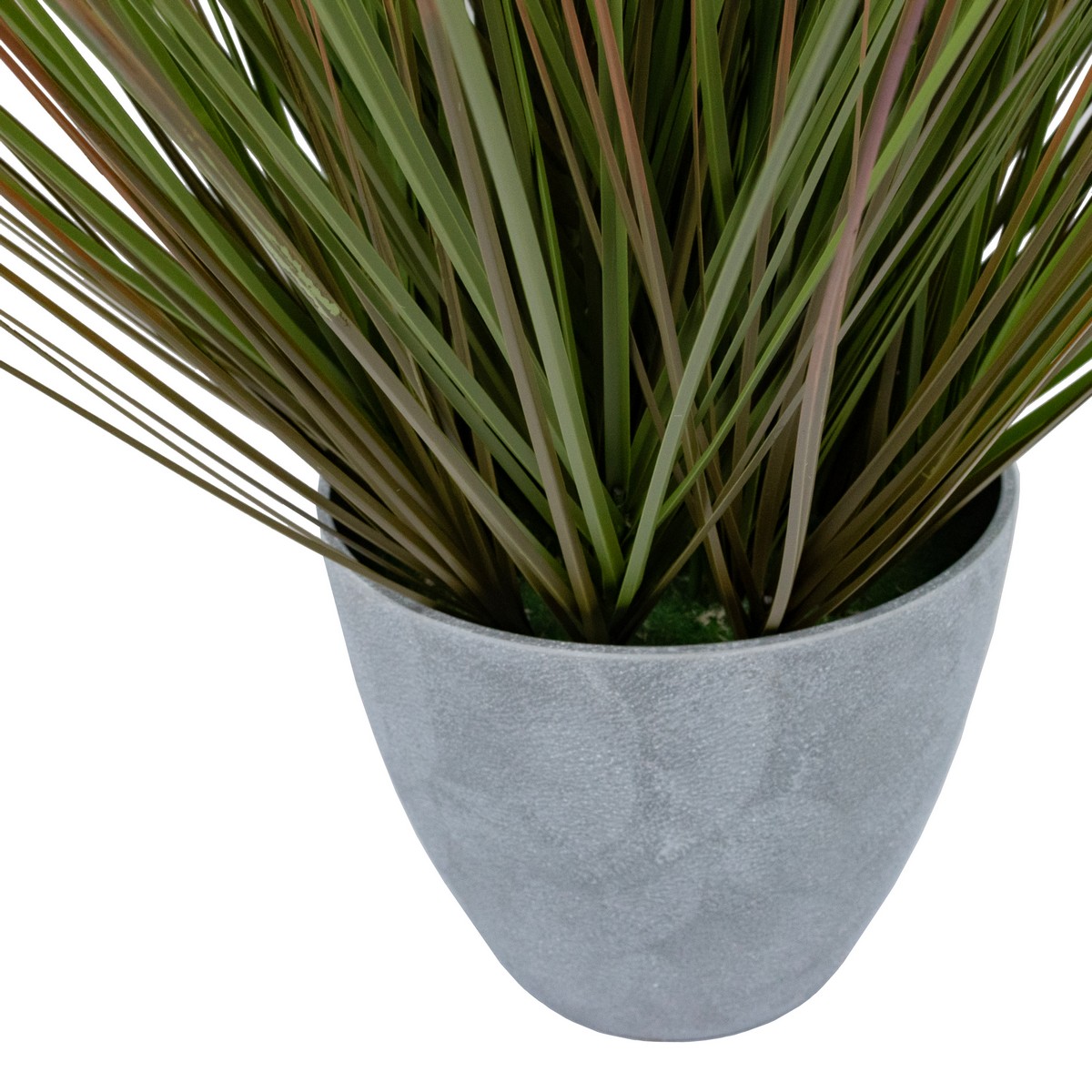 Пампасная трава в кашпо, 76см, зеленый в интернет-магазине флористических аксессуаров Азалия Декор