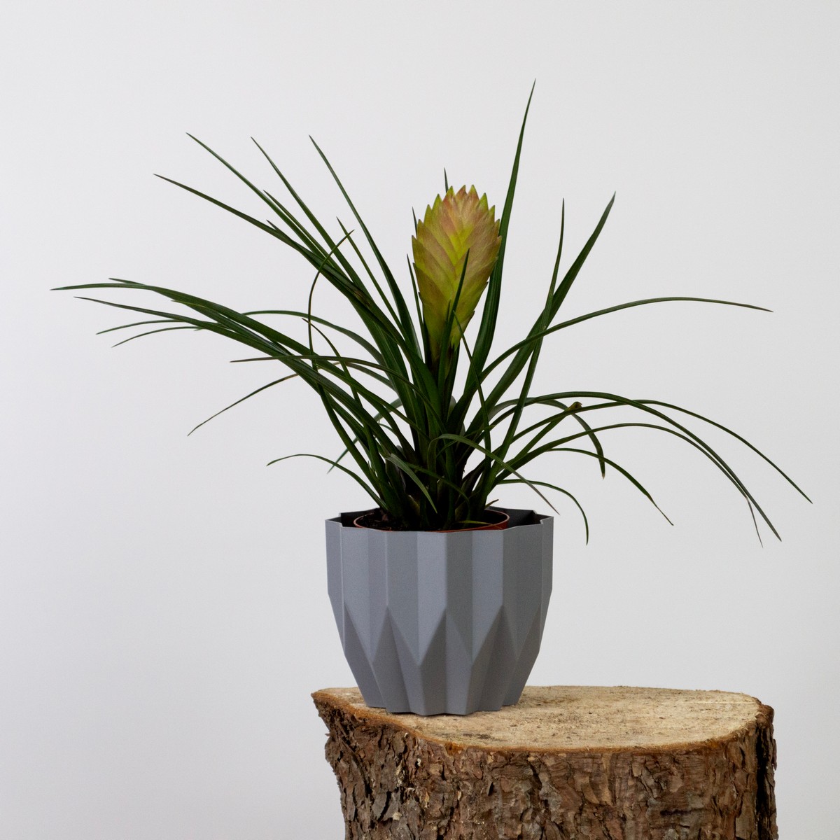 Кашпо Геометрия (пластик), D13xH16см, 0,8л, серый в интернет-магазине флористических аксессуаров Азалия Декор