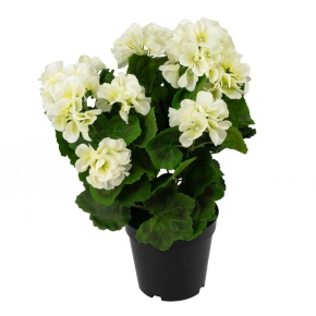 Герань в кашпо, 38см, белый в интернет-магазине флористических аксессуаров Азалия Декор