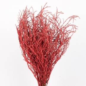 Вациниум краш Юг РФ в интернет-магазине флористических аксессуаров Азалия Декор