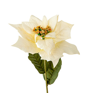 Пуансетия, 75см, белый в интернет-магазине флористических аксессуаров Азалия Декор