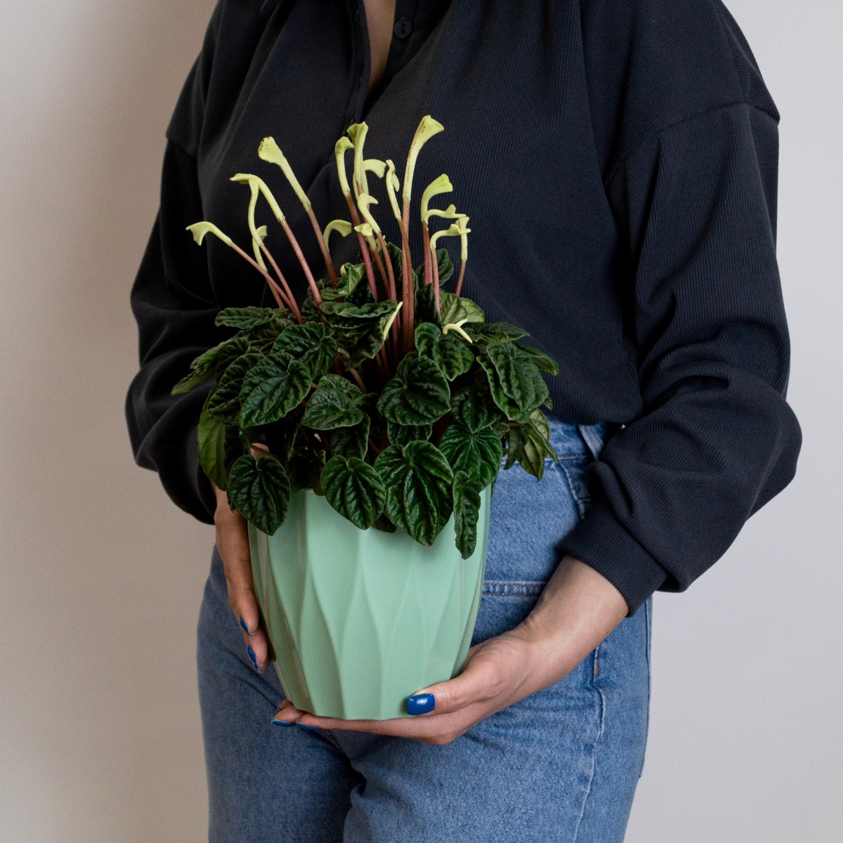 Кашпо Флюте со вставкой (пластик), D16xH14,5, 1,9л, нефритовый в интернет-магазине флористических аксессуаров Азалия Декор