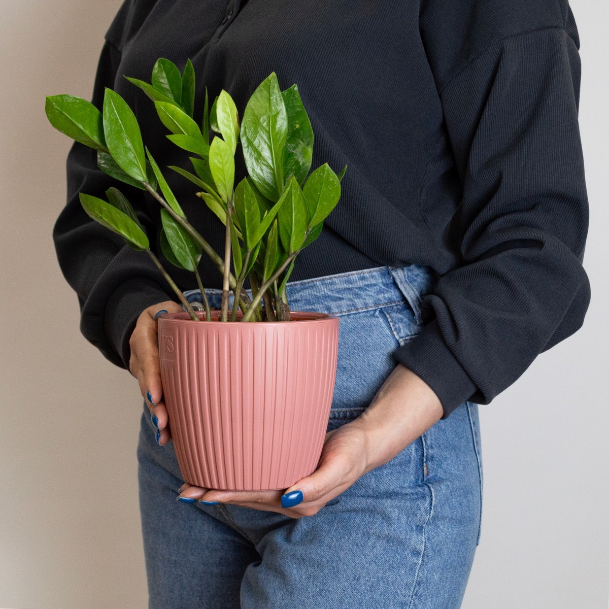 Кашпо со вставкой Эви (пластик), D14xH12,8см, 1,5л, розовый в интернет-магазине флористических аксессуаров Азалия Декор