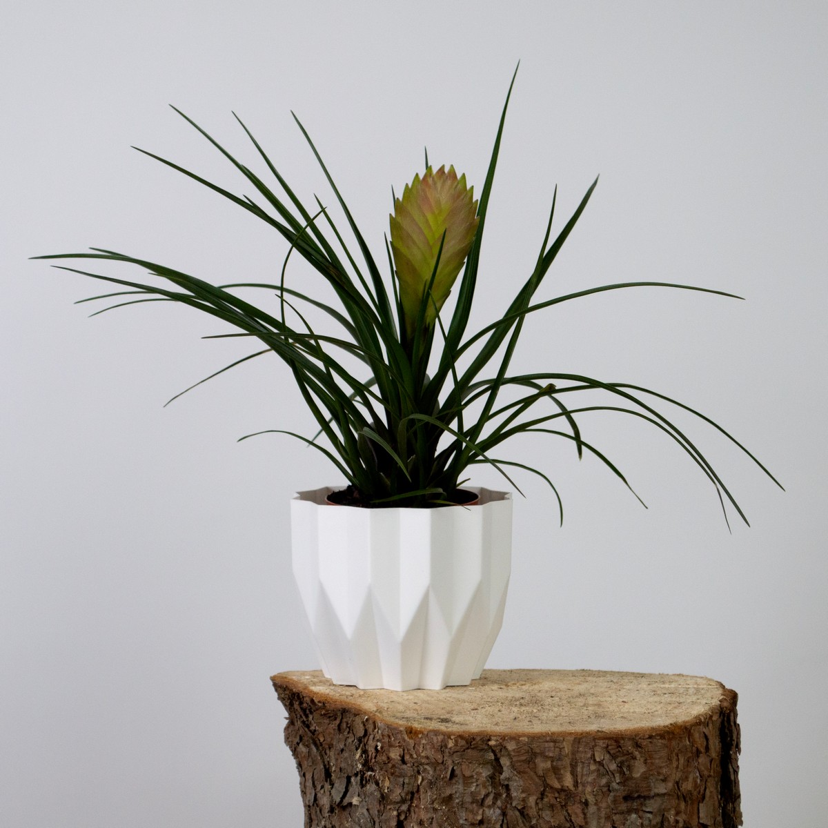 Кашпо Геометрия (пластик), D13xH16см, 0,8л, белый в интернет-магазине флористических аксессуаров Азалия Декор