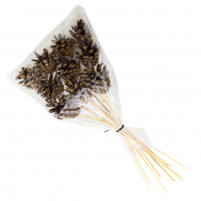 Набор шишек сосновых на вставке 10шт., 5x30см, натуральный в интернет-магазине флористических аксессуаров Азалия Декор