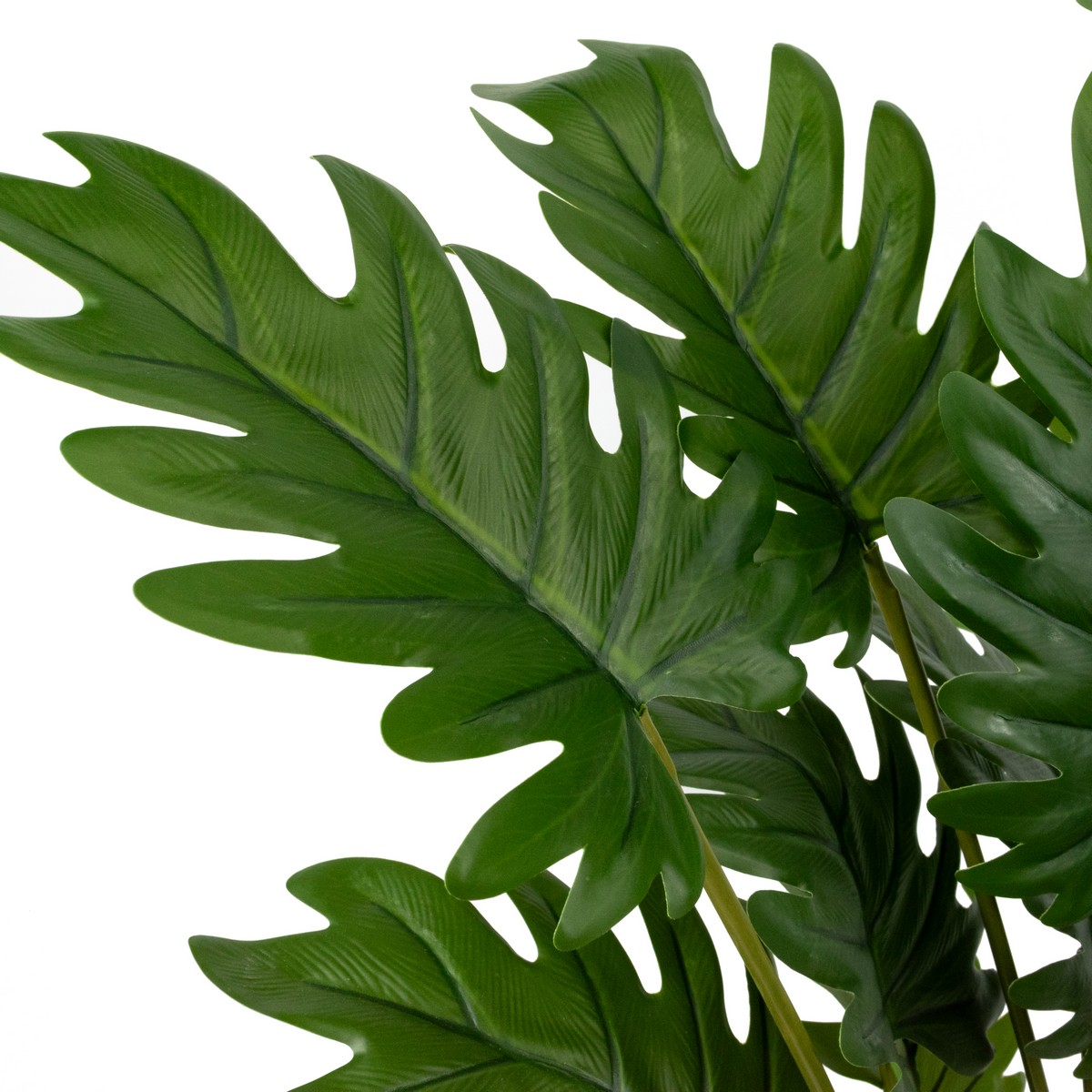 Филодендрон в кашпо, 81см, зеленый в интернет-магазине флористических аксессуаров Азалия Декор