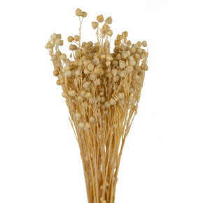 Набор льна 50гр., 60 см, кремовый в интернет-магазине флористических аксессуаров Азалия Декор
