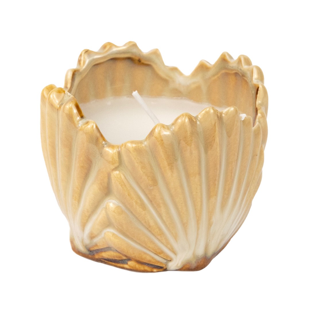 Свеча Ракушка (керамика), H7xD8,5см, цв. в асс. в интернет-магазине флористических аксессуаров Азалия Декор