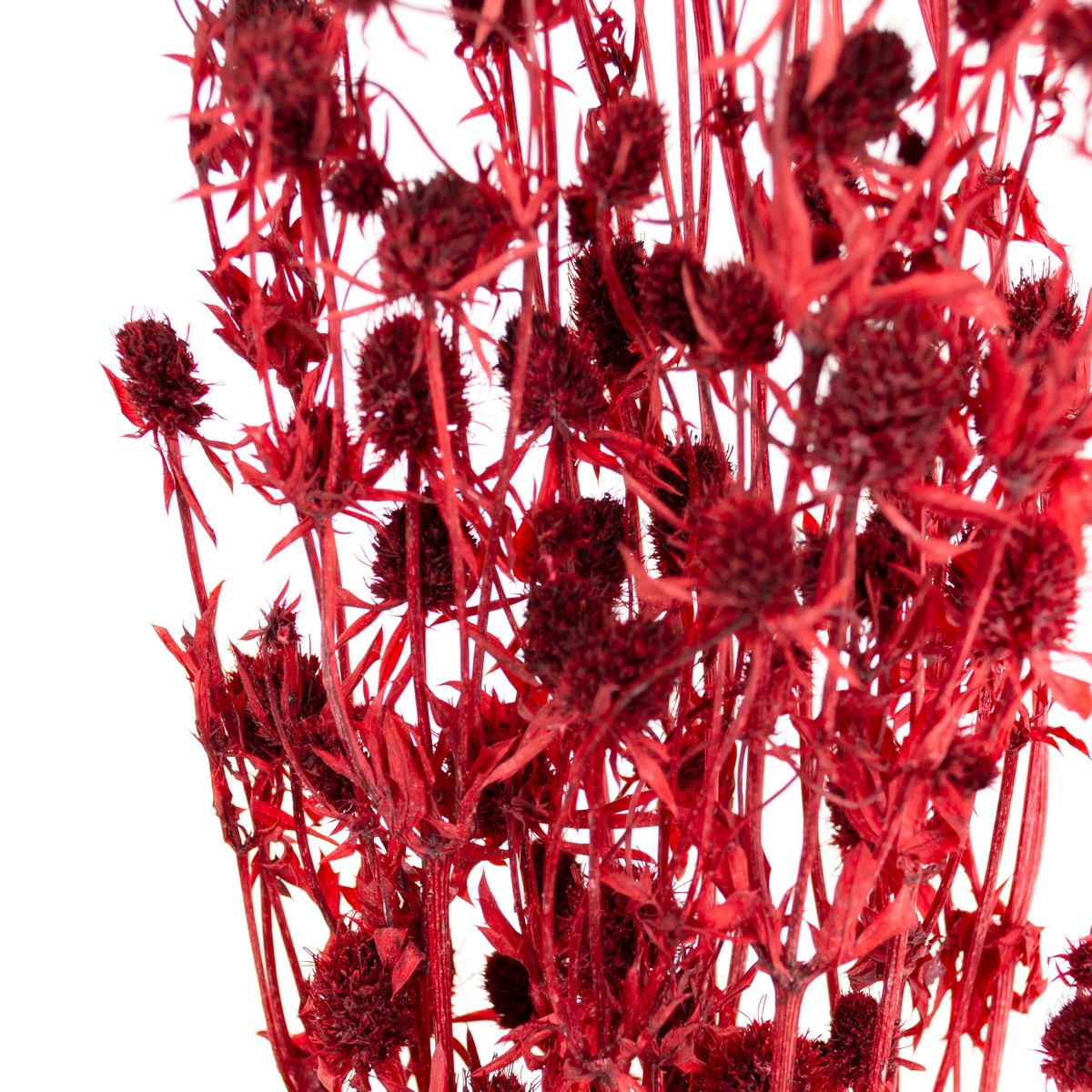 Набор эрингиума 80гр, 70 см, бургунди в интернет-магазине флористических аксессуаров Азалия Декор